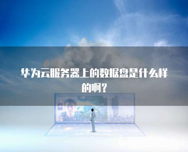 华为云服务器上的数据盘是什么样的啊？