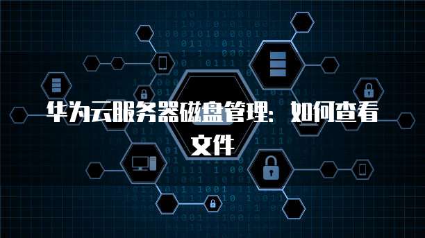 华为云服务器磁盘管理：如何查看文件