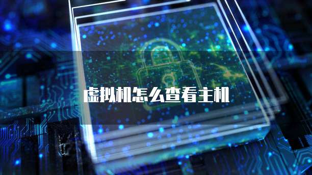 虚拟机怎么查看主机