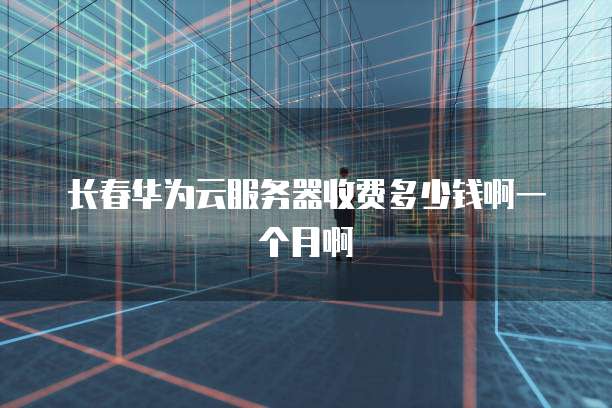 长春华为云服务器收费多少钱啊一个月啊