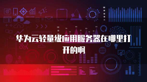 华为云轻量级应用服务器在哪里打开的啊