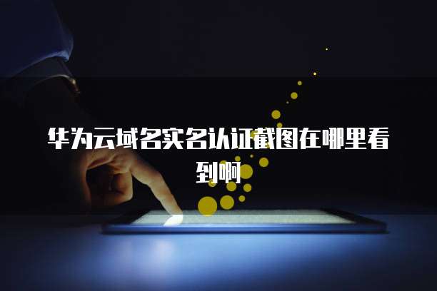 华为云域名实名认证截图在哪里看到啊