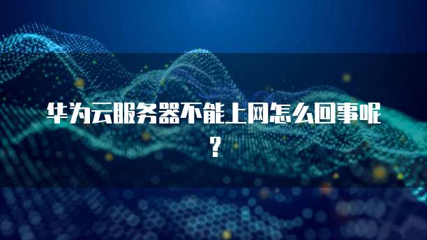 华为云服务器不能上网怎么回事呢？