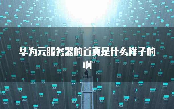 华为云服务器的首页是什么样子的啊