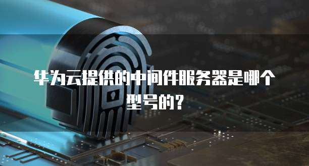 华为云提供的中间件服务器是哪个型号的？
