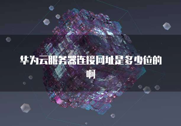 华为云服务器连接网址是多少位的啊