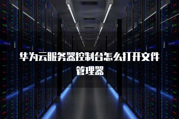 华为云服务器控制台怎么打开文件管理器