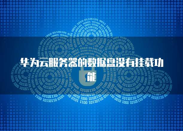 华为云服务器的数据盘没有挂载功能