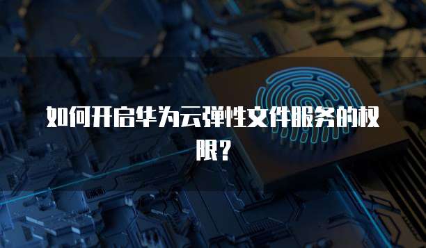 如何开启华为云弹性文件服务的权限？