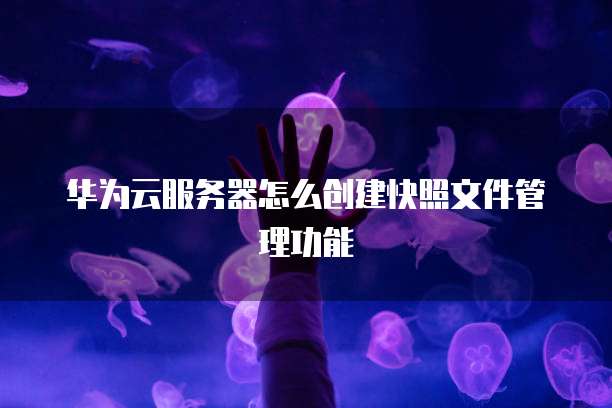 华为云服务器怎么创建快照文件管理功能