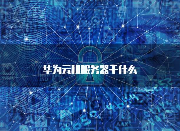 华为云租服务器干什么