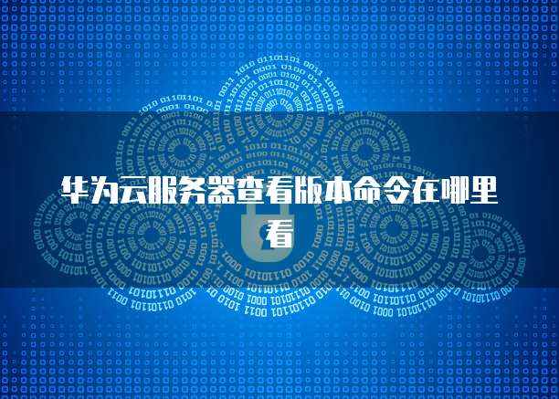华为云服务器查看版本命令在哪里看