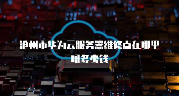 沧州市华为云服务器维修点在哪里呀多少钱