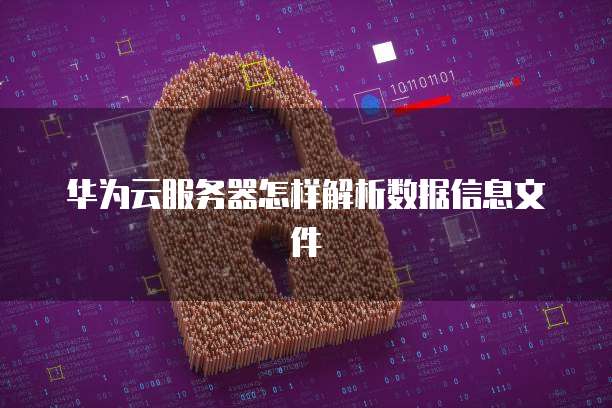 华为云服务器怎样解析数据信息文件