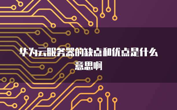华为云服务器的缺点和优点是什么意思啊