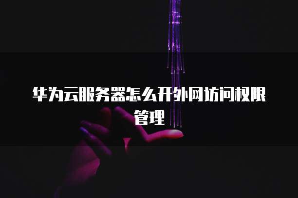 华为云服务器怎么开外网访问权限管理