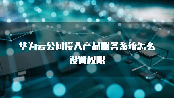 华为云公网接入产品服务系统怎么设置权限