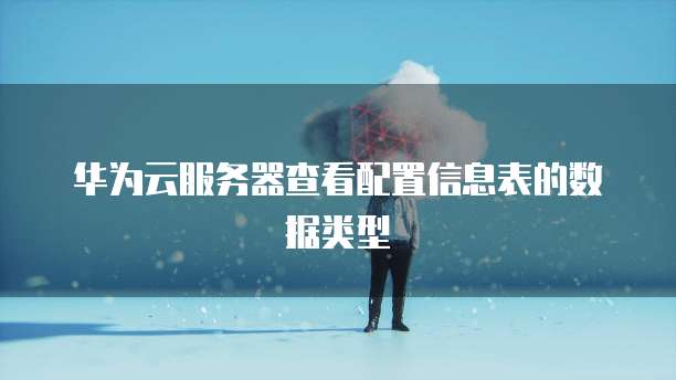 华为云服务器查看配置信息表的数据类型