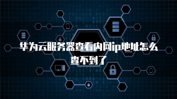 华为云服务器查看内网ip地址怎么查不到了