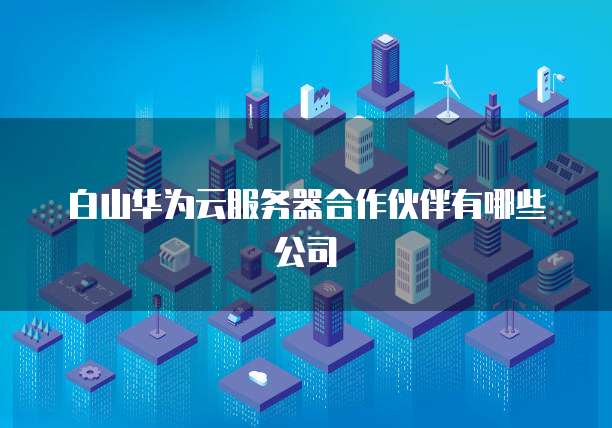 白山华为云服务器合作伙伴有哪些公司