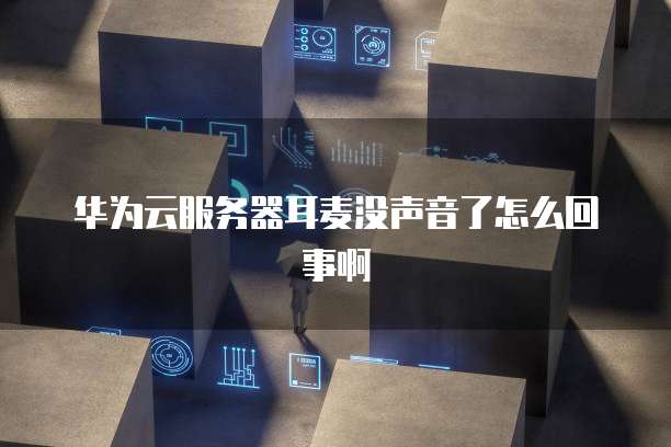 华为云服务器耳麦没声音了怎么回事啊