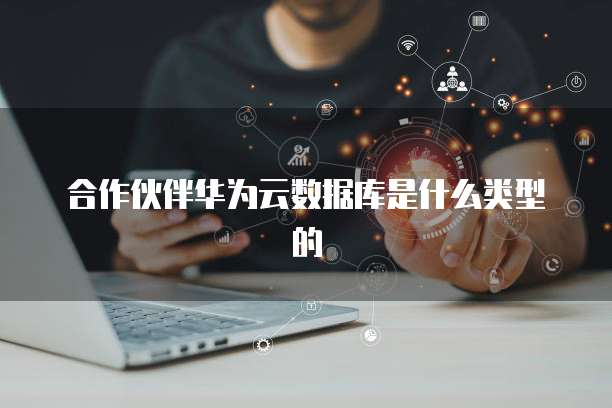 合作伙伴华为云数据库是什么类型的