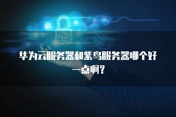 华为云服务器和紫鸟服务器哪个好一点啊？