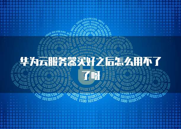 华为云服务器买好之后怎么用不了了呀