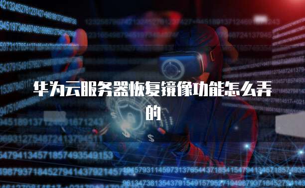 华为云服务器恢复镜像功能怎么弄的