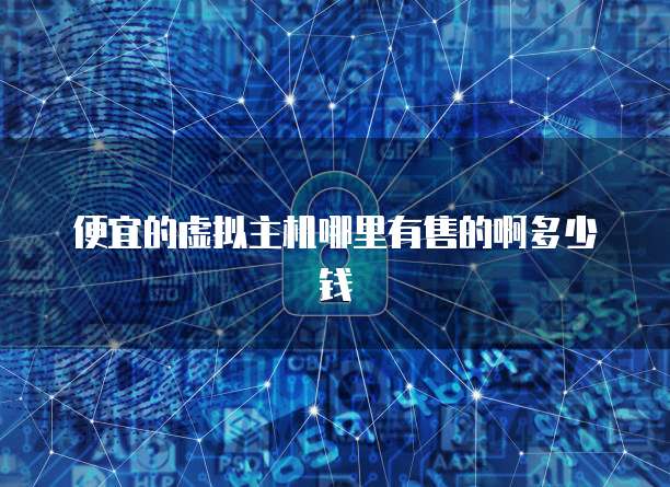 便宜的虚拟主机哪里有售的啊多少钱