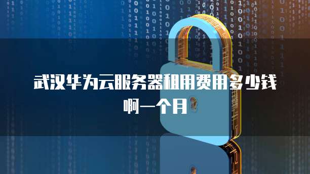武汉华为云服务器租用费用多少钱啊一个月