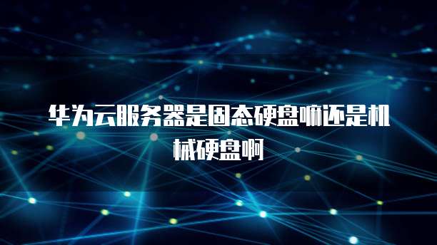 华为云服务器是固态硬盘嘛还是机械硬盘啊