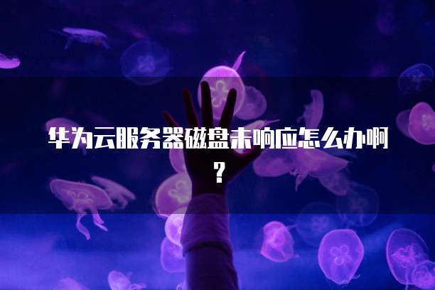 华为云服务器磁盘未响应怎么办啊？