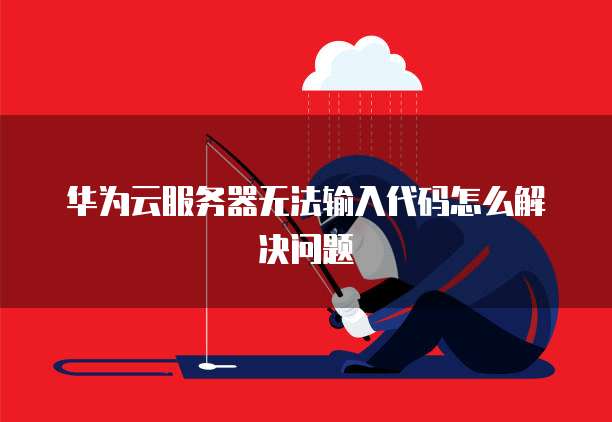 华为云服务器无法输入代码怎么解决问题