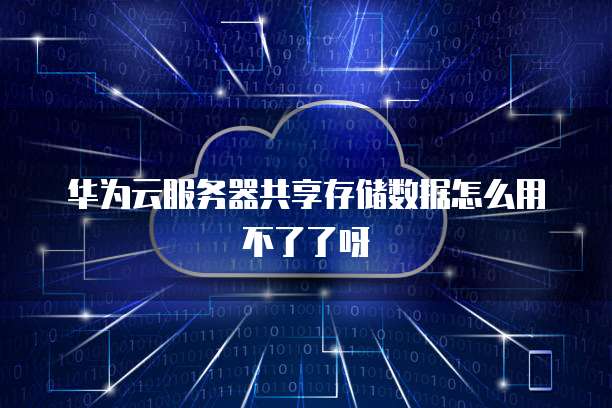 华为云服务器共享存储数据怎么用不了了呀