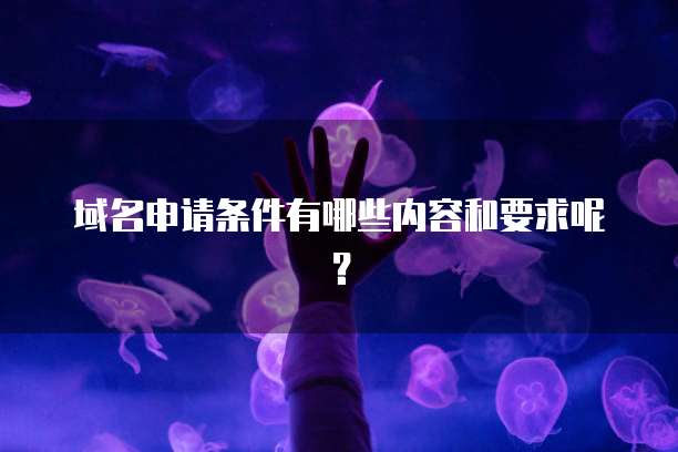 域名申请条件有哪些内容和要求呢？