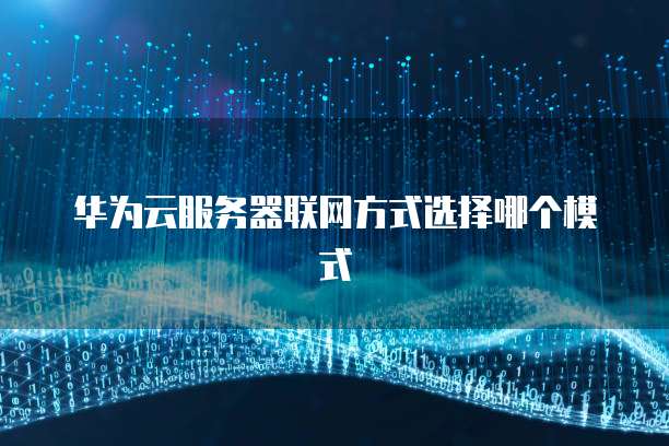 华为云服务器联网方式选择哪个模式