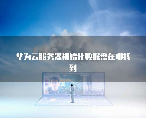 华为云服务器初始化数据盘在哪找到