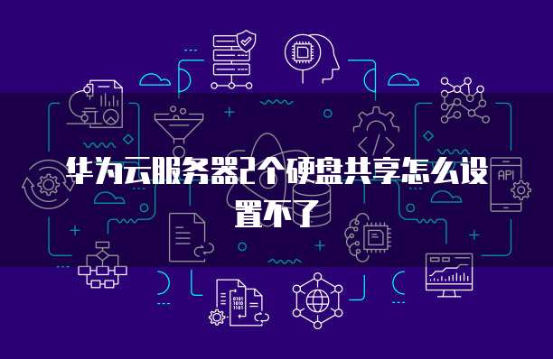 华为云服务器2个硬盘共享怎么设置不了