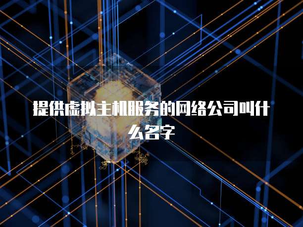 提供虚拟主机服务的网络公司叫什么名字