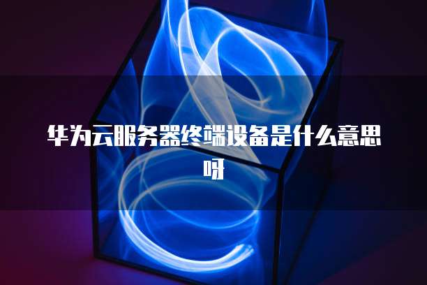 华为云服务器终端设备是什么意思呀
