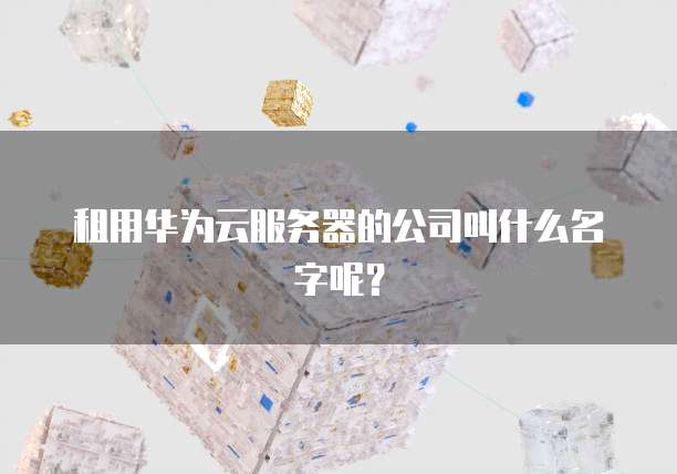 租用华为云服务器的公司叫什么名字呢？