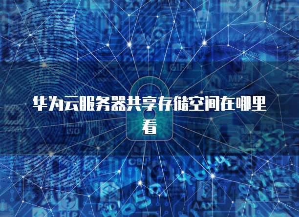 华为云服务器共享存储空间在哪里看