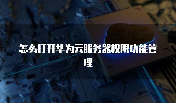 怎么打开华为云服务器权限功能管理