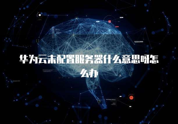 华为云未配置服务器什么意思呀怎么办