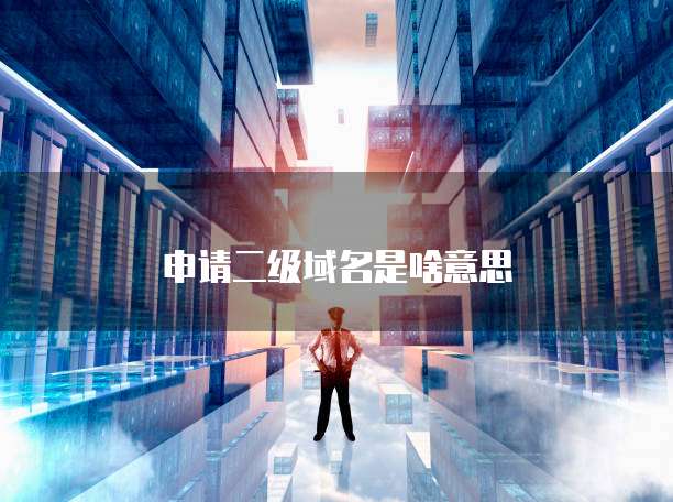 申请二级域名是啥意思