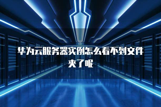 华为云服务器实例怎么看不到文件夹了呢