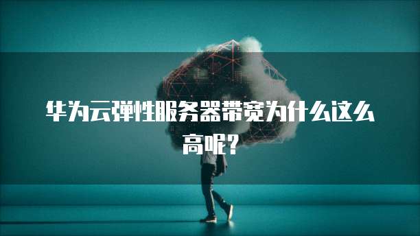 华为云弹性服务器带宽为什么这么高呢？