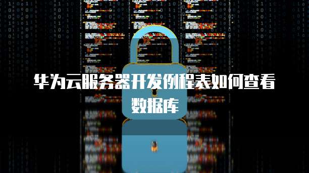 华为云服务器开发例程表如何查看数据库