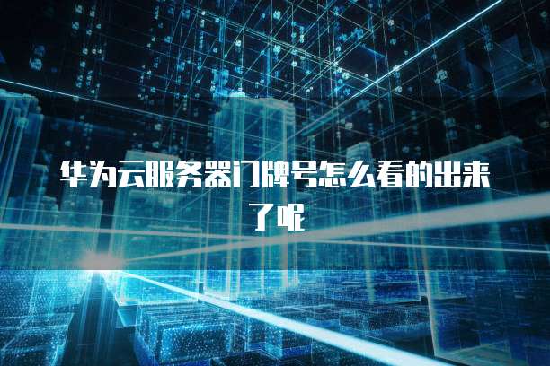 华为云服务器门牌号怎么看的出来了呢